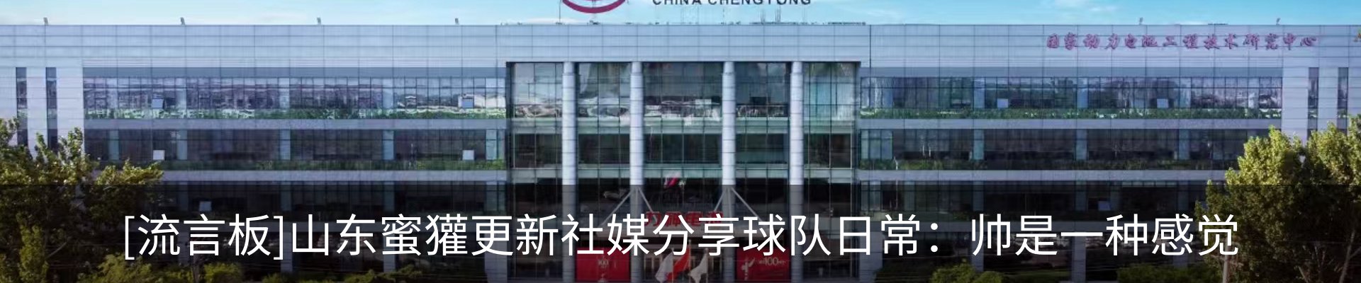 最新动态